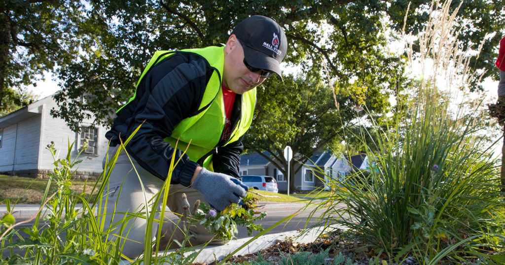 A person pulling weeds and debris.