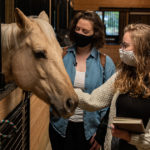 Interior design students petting a horse.