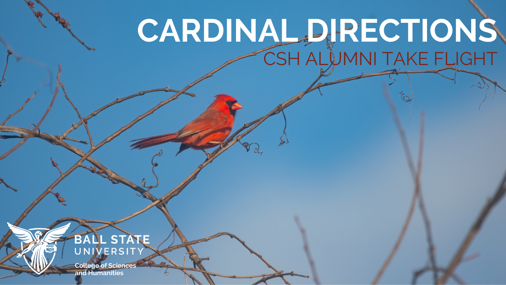 Where Are They Now? Mathematics Alumni Christopher Leininger