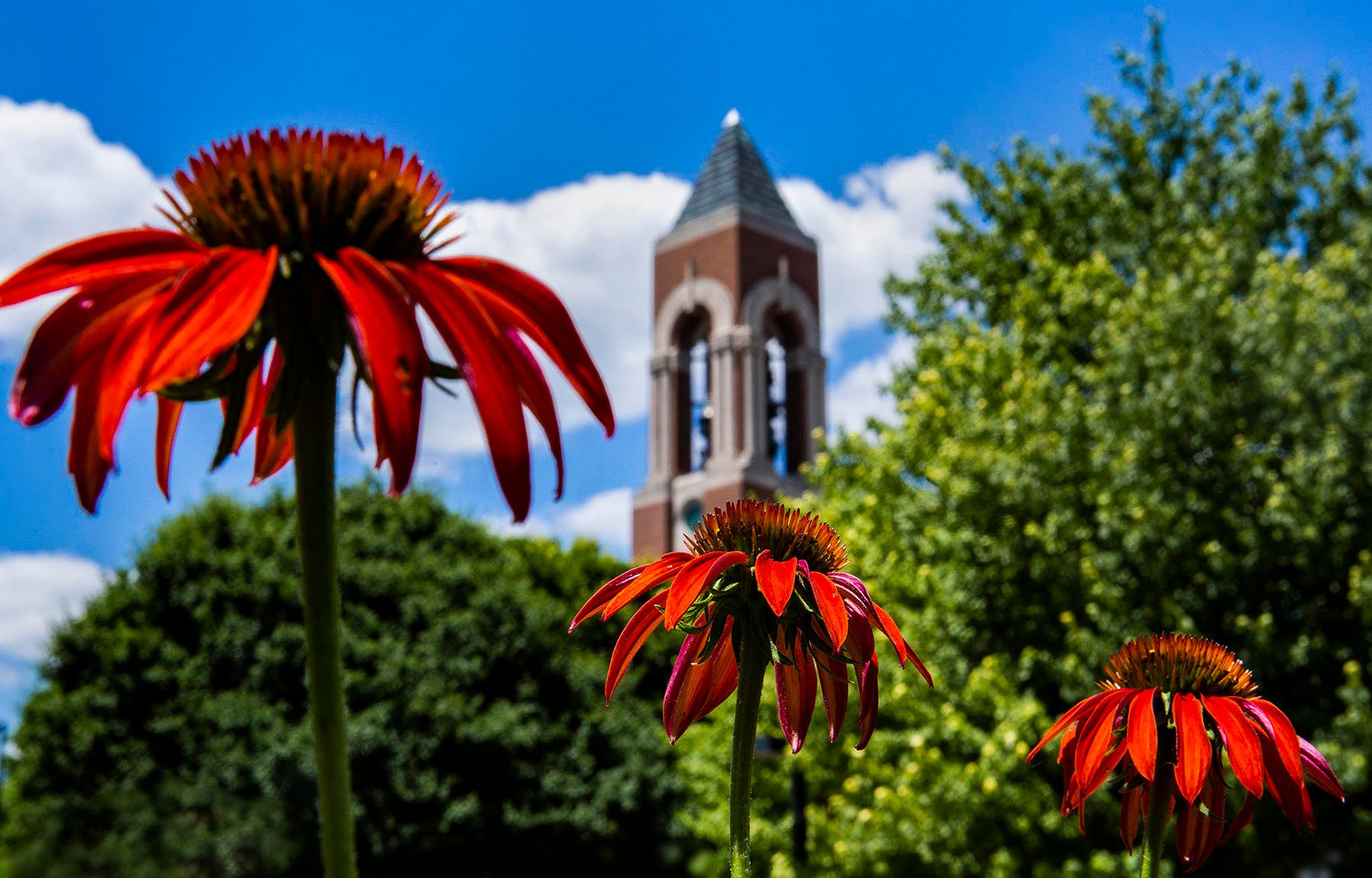 August Digital Calendars Ball State Foundation Blog