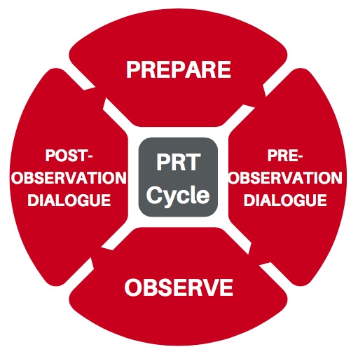 Peer Review of Teaching Cycle: Step One – Prepare, Step Two – Pre-Observation Dialogue, Step Three – Observe, Step Four – Post-Observation Dialogue