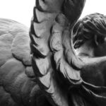 black and white photo of Benny's wings